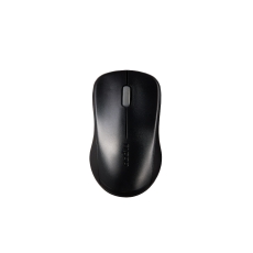 Rapoo 1620, 2.4 GHz Wireless Optical Mouse, (Black)